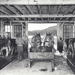 Nelson Farm in Woodstock, VT (USDA, 1941)