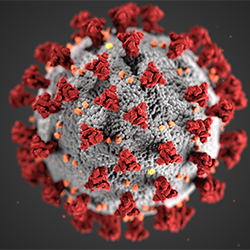 Coronavirus (U.S. Department of Health and Human Services)