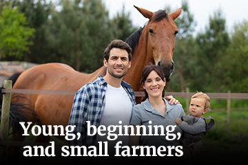 Young, beginning and small farmer lending